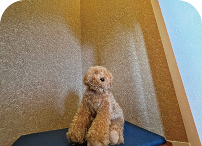 ペット専用スペース