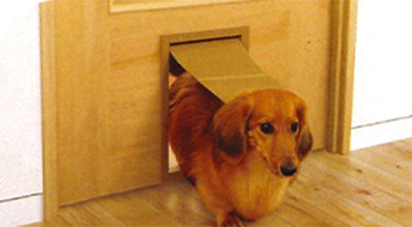 くぐり戸付きのペットドア