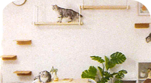 自由に動けるキャットウォーク