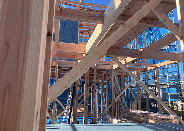 家族を守る強い家