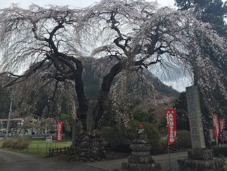 秩父観音巡り♪