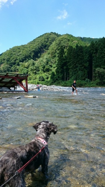 あー夏休み最終日