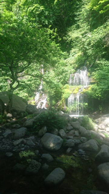 河口湖にはネッシーがいる気がします